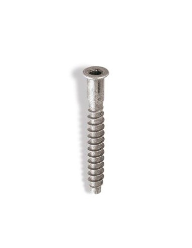 Tornillo ensamblaje ene/5x50 zincado de celo caja de 250