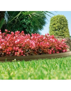 Bordura bark border 9cmx10m marron claro de nortene