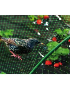 Malla antipajaros birdnet 5380/2x05m vde de nortene