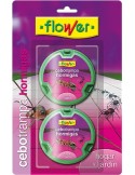 Antihormigas cebo trampa 20536 2x10gr bl de flower caja de 30 unidades