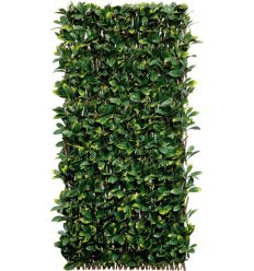 Celosia mimbre con hojas laurel willgreen 1x2 de nortene