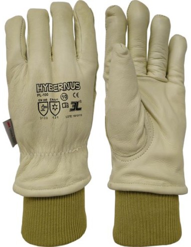 Guante térmico frio hybernus pl-100 talla-08 de 3l